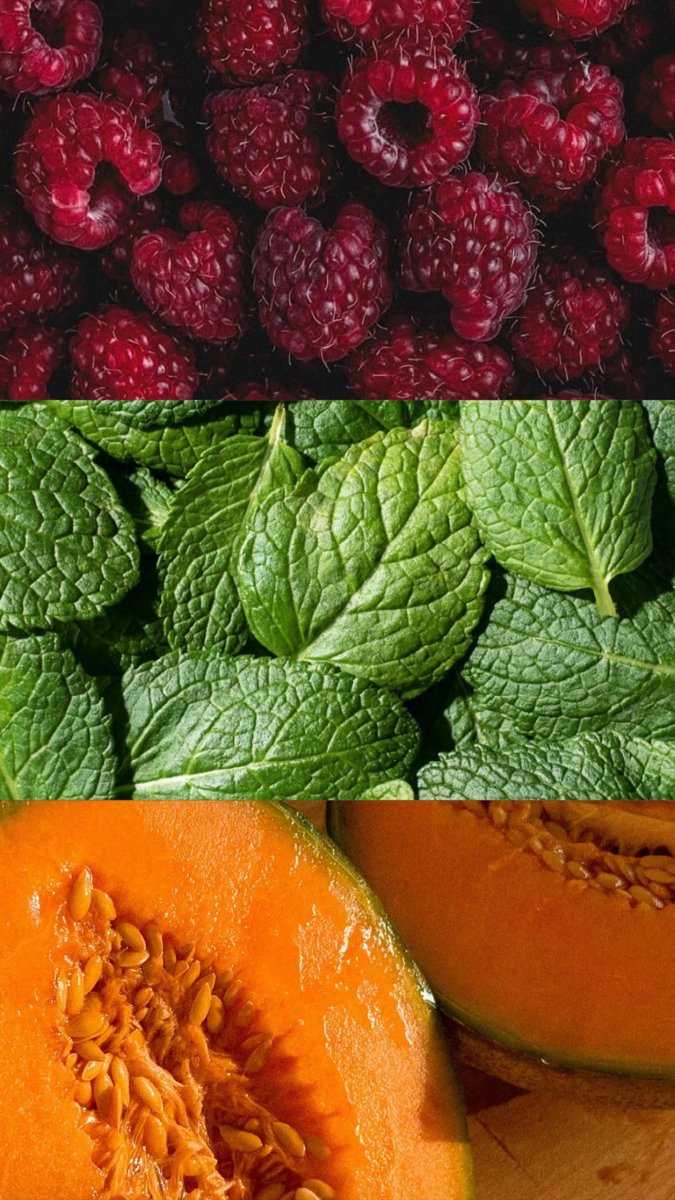 Cocktails and Conversations - Mint Mango Sangria