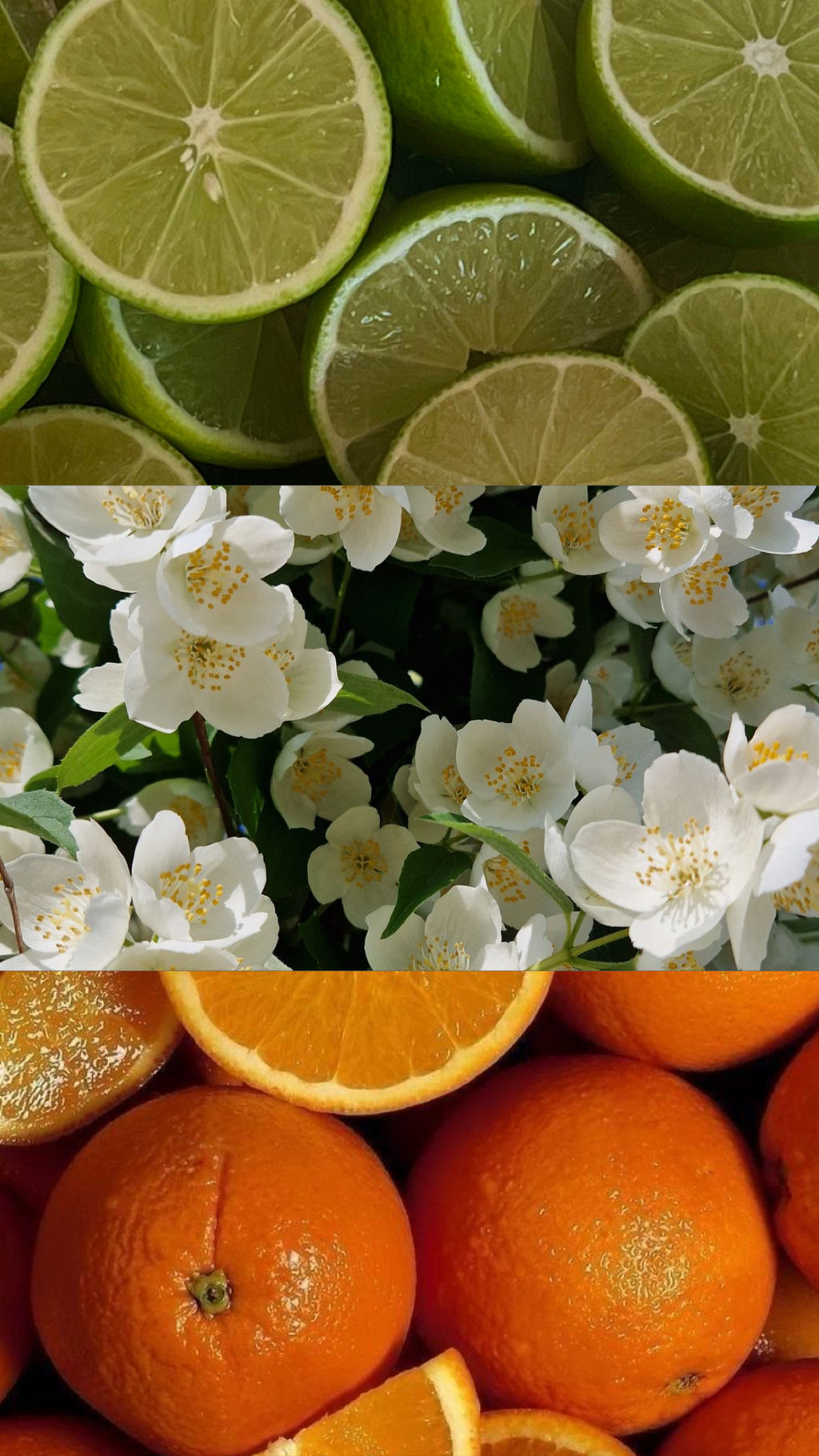 It's on my Husband - Orange Cosmo