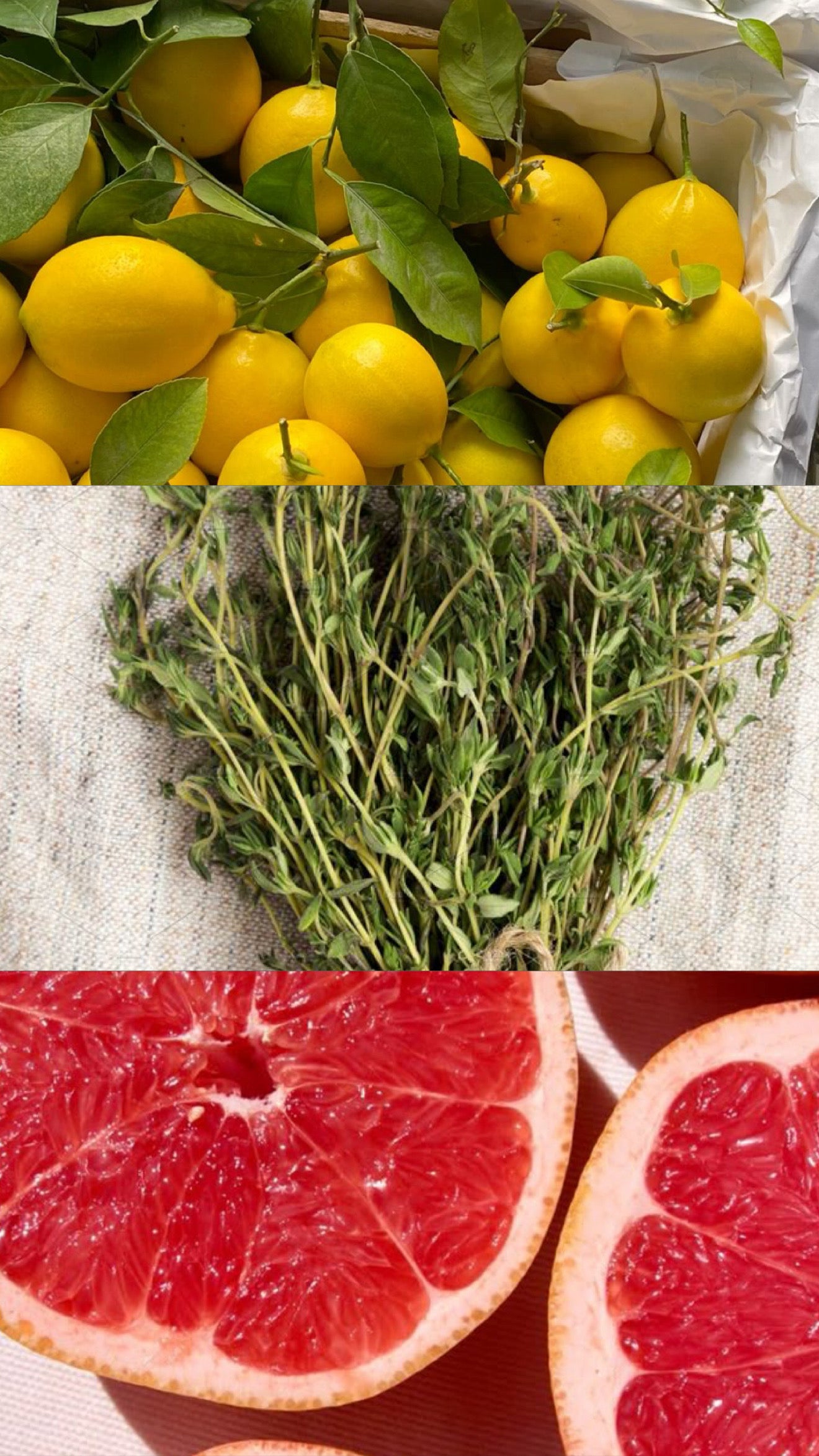 Dinner is at Eight - Grapefruit Thyme Gin Fizz