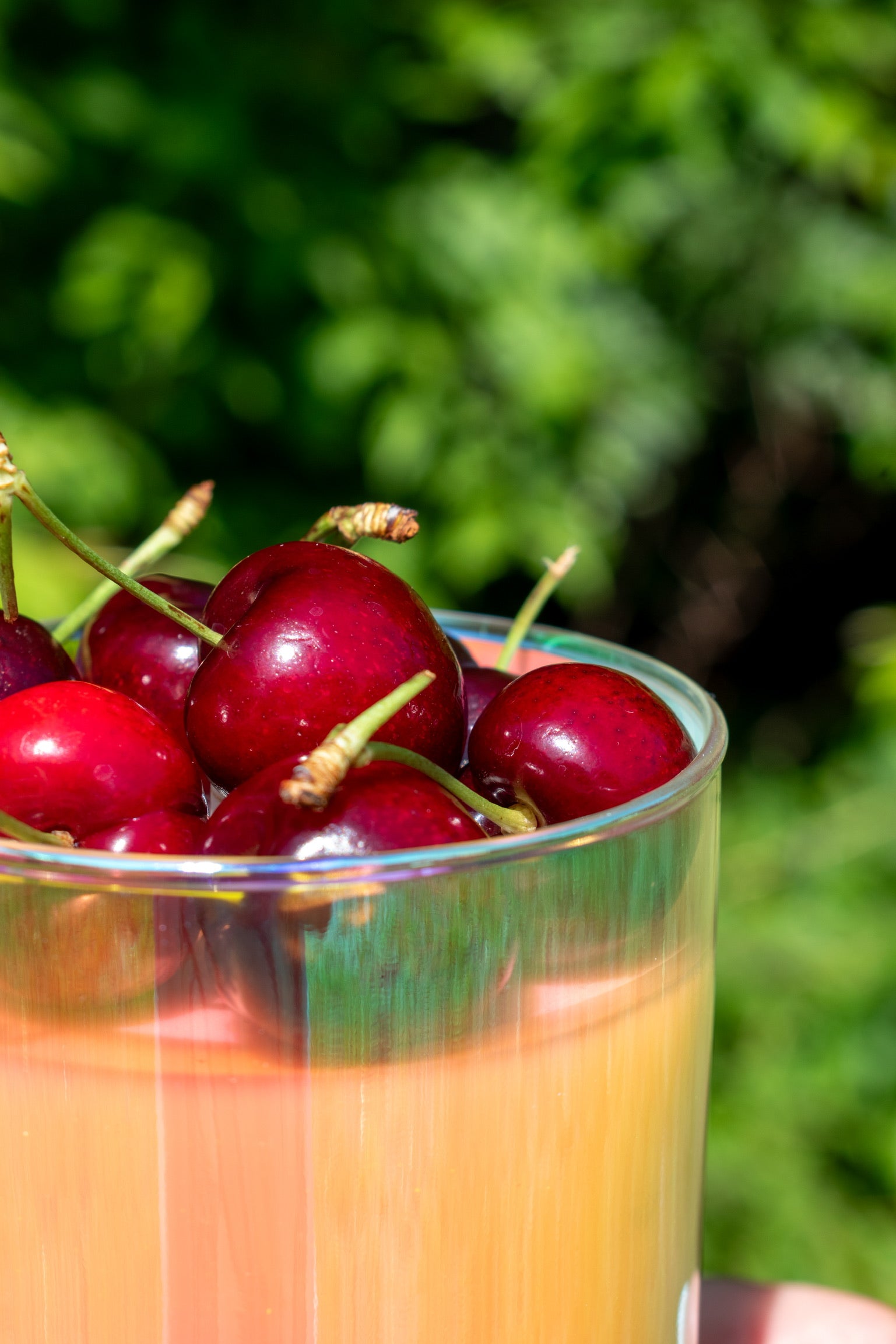 The Jaded Candle x SOPH