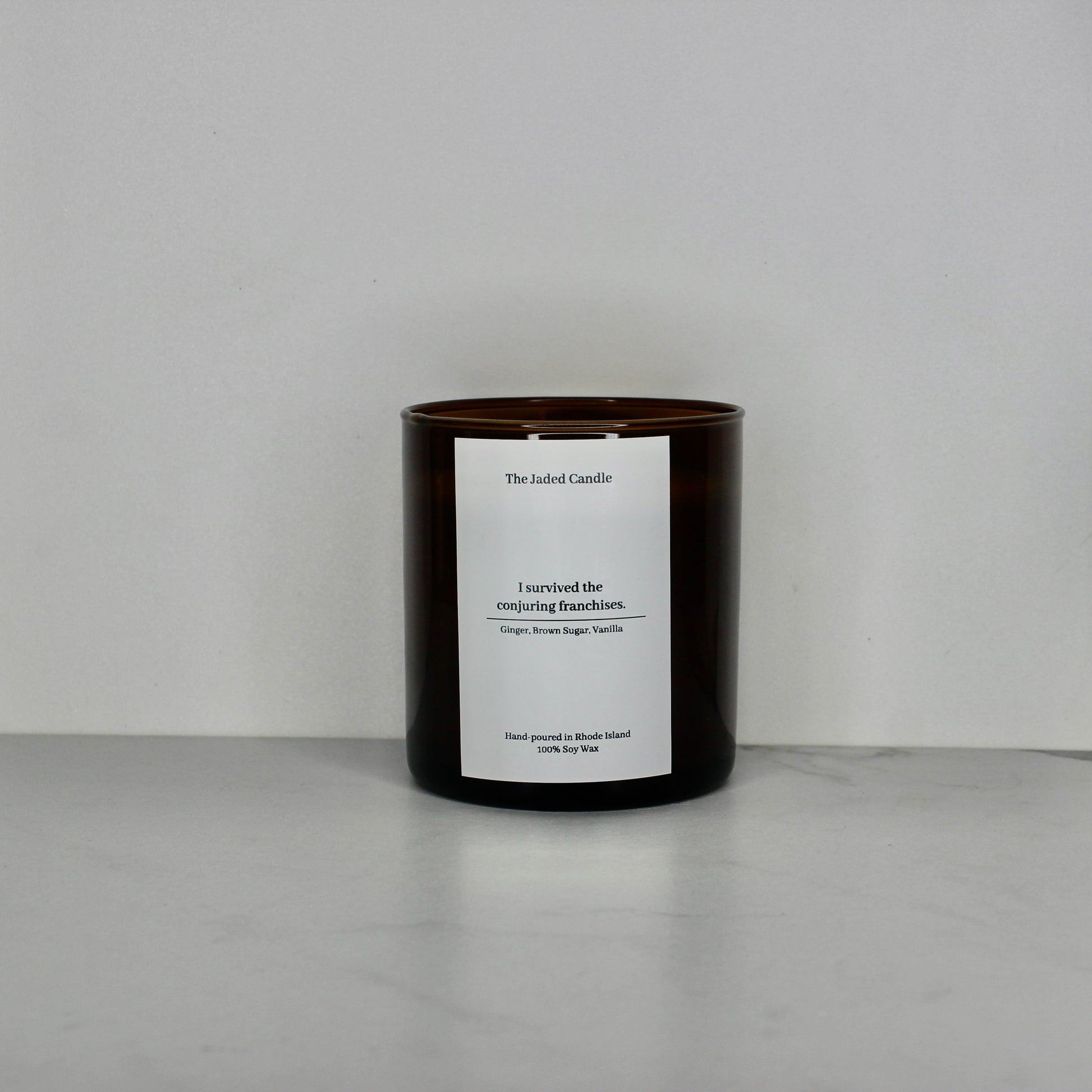 I Survived The Conjuring Franchises